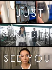I Just Wanted to See You
