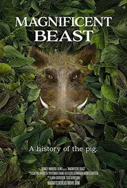 Magnificent Beast