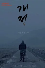 개정