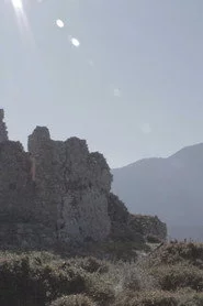 Ρίζες