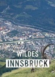 Wildes Innsbruck: Zwischen Moderne und alpiner Wildnis