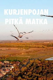 Kurjenpojan pitkä matka
