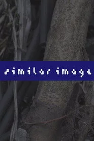 Similar Image