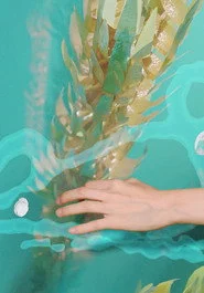 둠즈데이 비디오