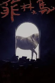 菲林之馬