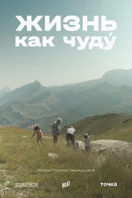 Жизнь как чуду