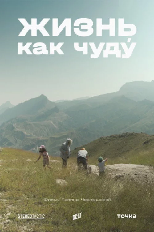 Жизнь как чуду