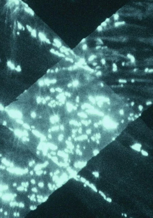 Trampa de Luz