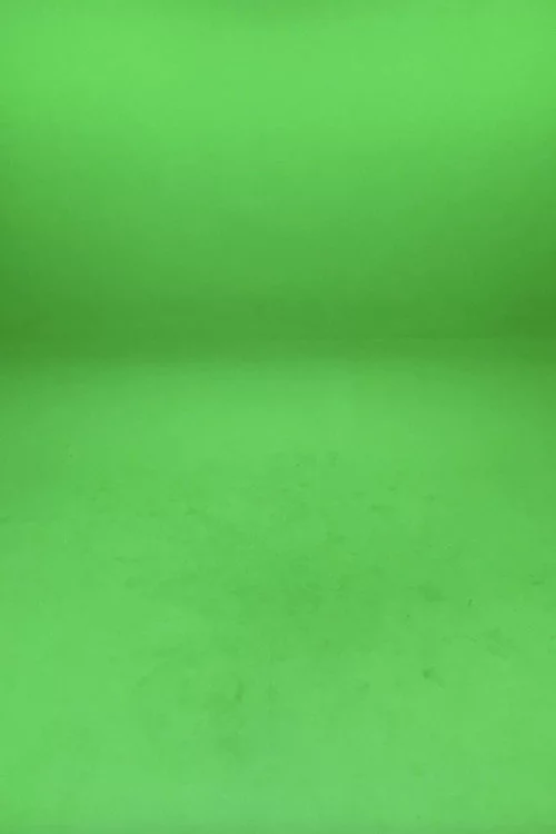 The house that shadows built