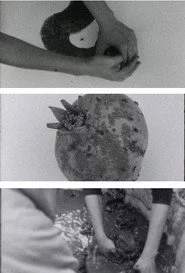 arrojalatierra