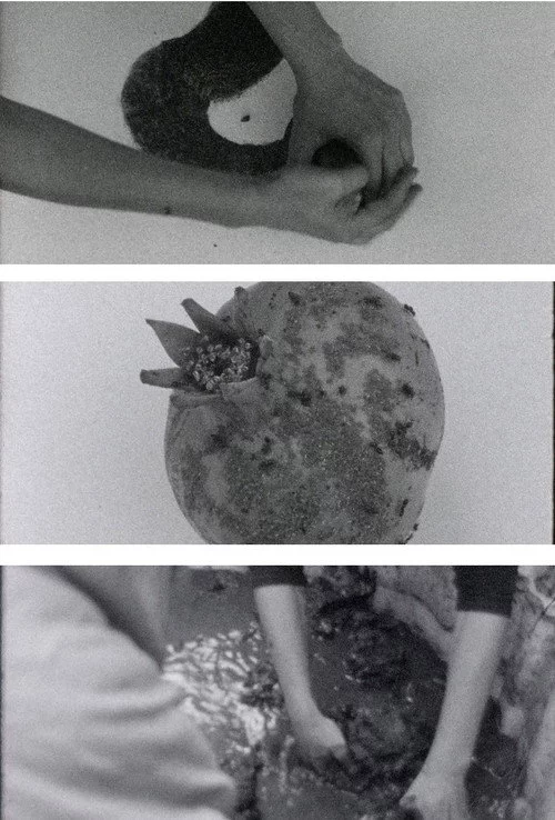 arrojalatierra