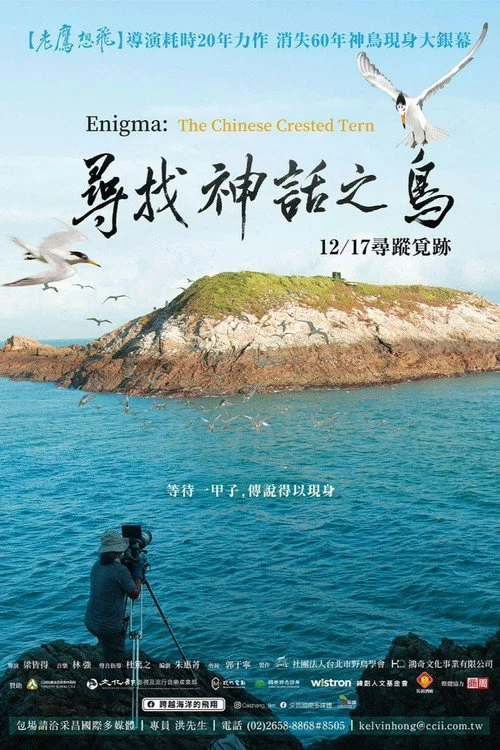 尋找神話之鳥