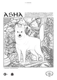Asha