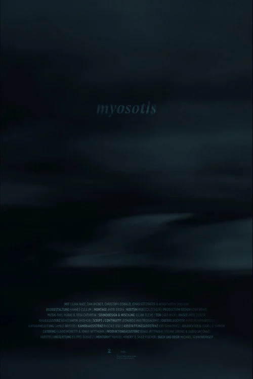 Myosotis