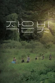 작은 빛
