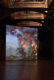 Wildfire