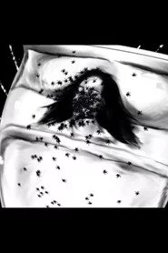 A Spider Dream