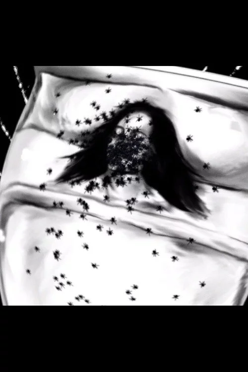 A Spider Dream