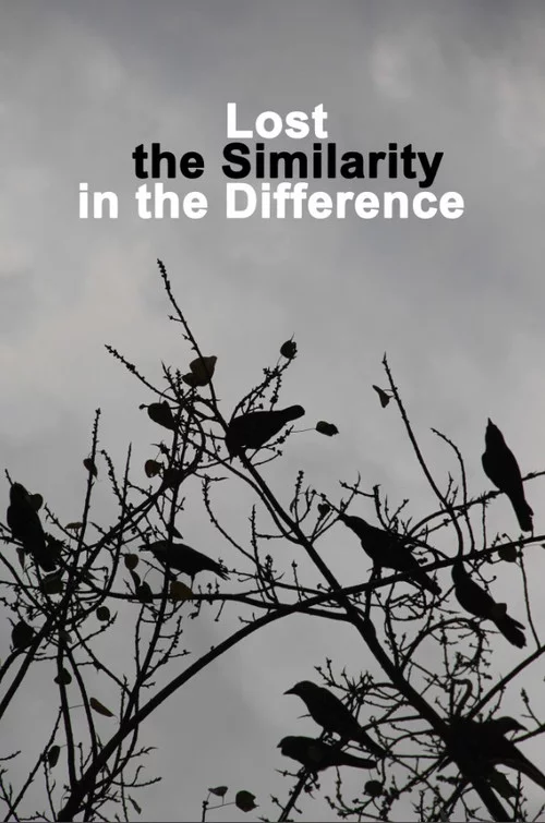 Lost the Similarity in the Difference