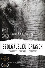 Szolgalelkű Óriások