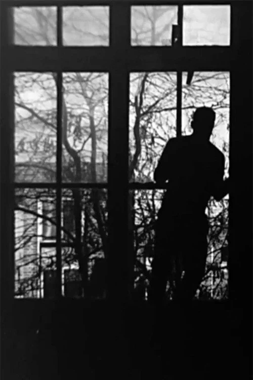 Remnant From Echo and Shadow