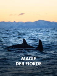 Magie der Fjorde