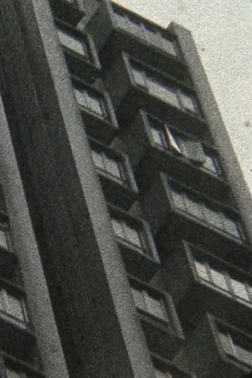 揺蕩