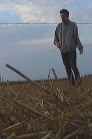 Horizonto Šaknys