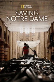 Saving Notre Dame