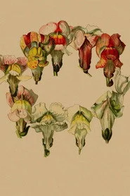 Stories In Place: Plante.