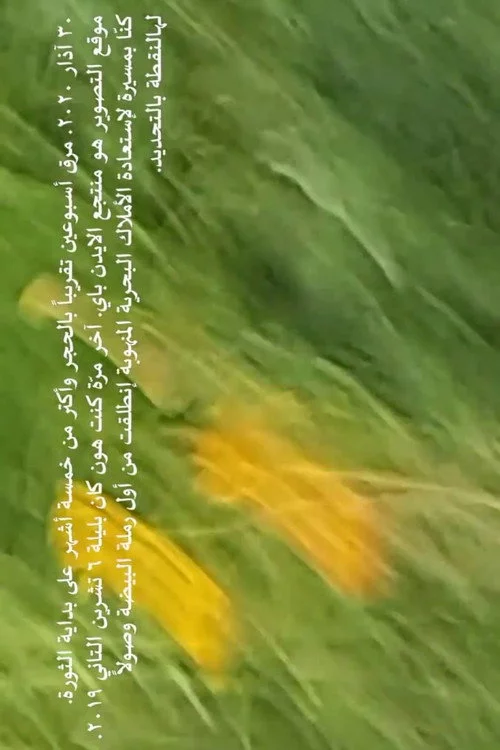 كنت ممنونة إنو الهوا مزّق ميكروفون الكاميرا