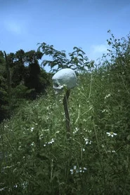 拉流斗霸