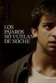 Los pájaros no vuelan de noche