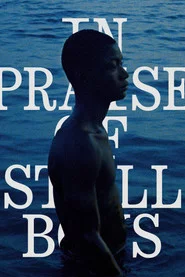 In Praise of Still Boys