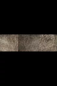 Nebraska Grasses Veils