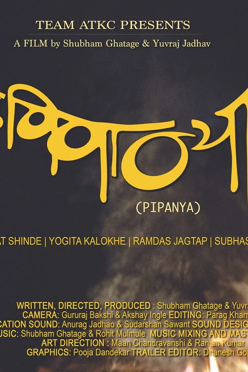 पिपान्या