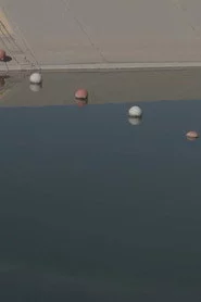 //\///\////\