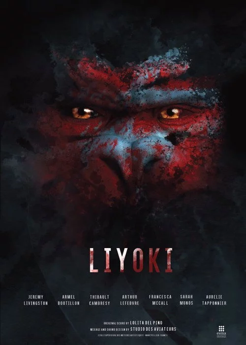 Liyoki