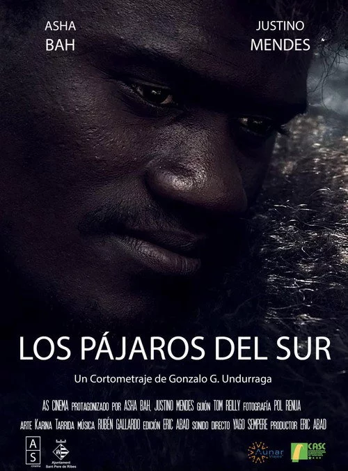 Los Pájaros del Sur