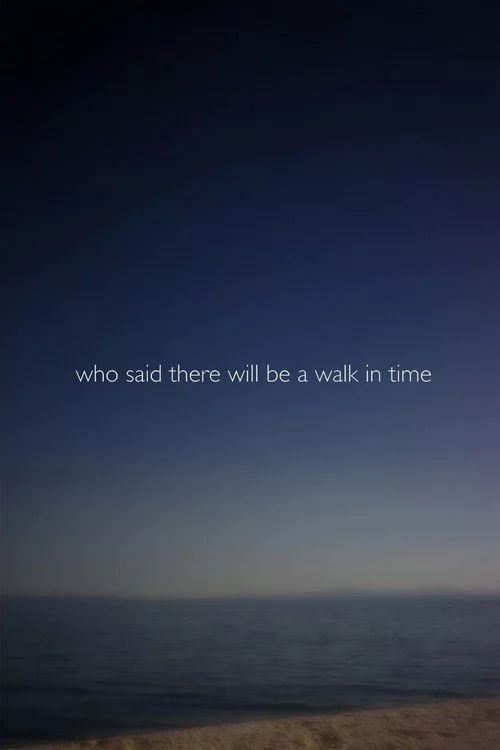 Who Said There Will Be a Walk in Time