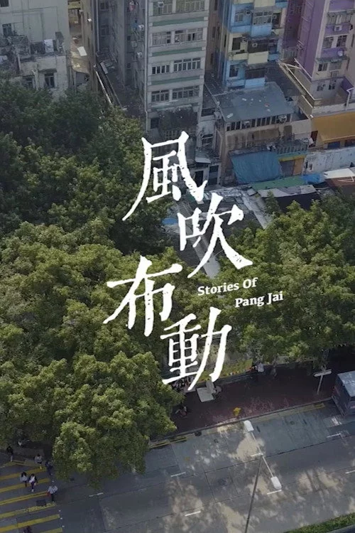 風吹布動