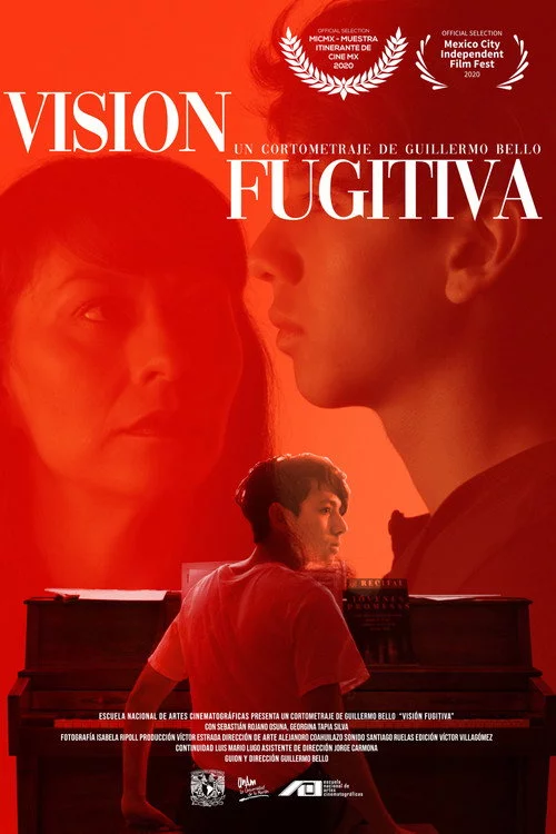 Visión Fugitiva