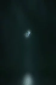 Wind