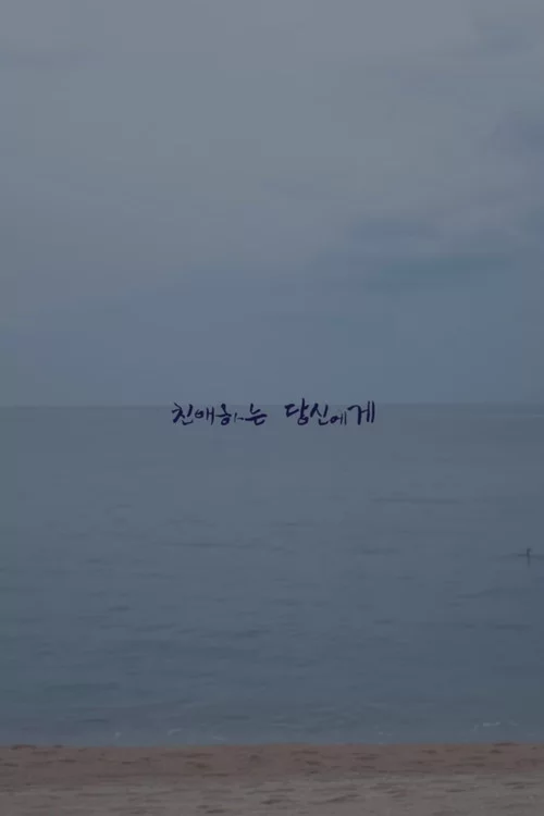 친애하는 당신에게