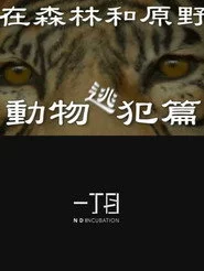 在森林和原野-動物逃犯篇