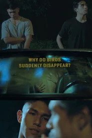 Why Do Birds Suddenly Disappear?