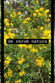 de rerum natura