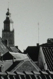 Tweeluik