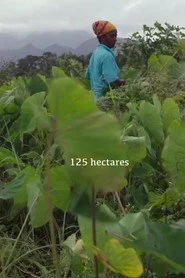125 hectares