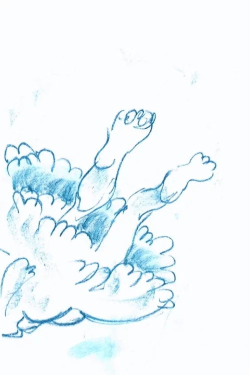 水母